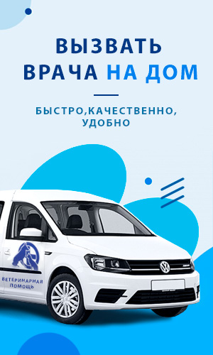 Врач на дом